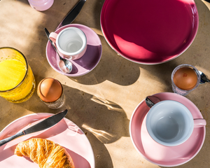 aps color servies – kleurrijk en duurzaam horeca servies van aps
