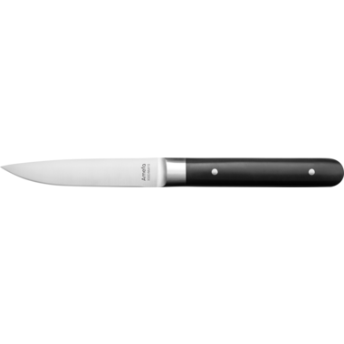 Amefa Fusion steakmes 22 cm – modern rvs steakmes voor restaurants