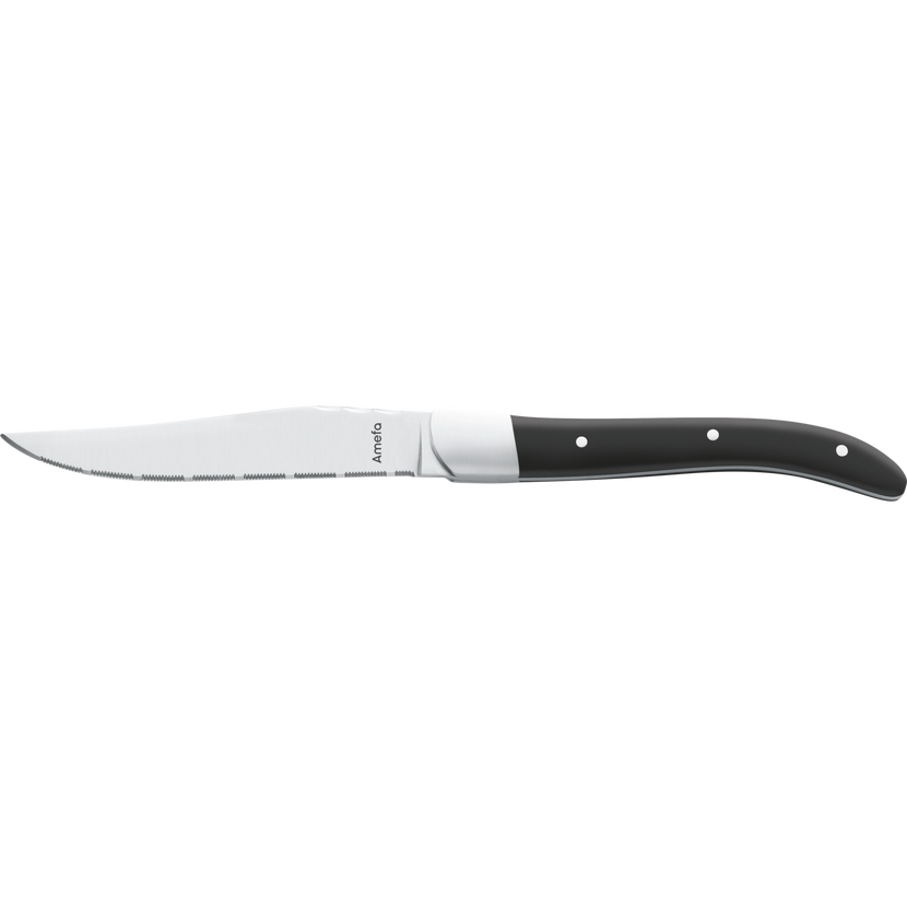 Amefa Royal steakmes 25 cm – stevig rvs vleesmes voor steakhouse en grill