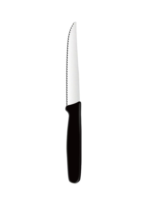Hendi tomatenmesje 210 mm met PP-heft – gekarteld lemmet 110 mm voor tomaten en zacht fruit