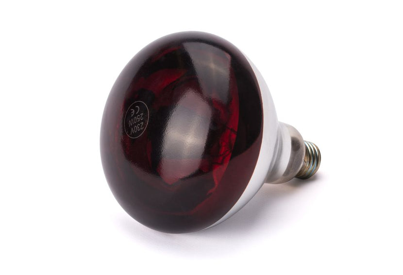 Hendi warmtelamp infrarood 250W rood – rode warmhoudlamp voor buffet en cateringlijn
