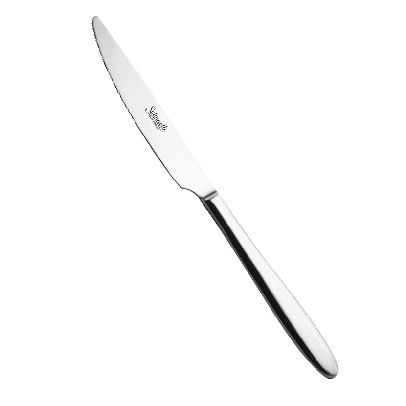 Fast Forged Table Knife 23cm 12/box – Salvinelli