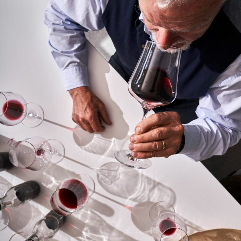 Gabriel-Glas StandArt wijnglas 510 ml – ultralicht kristallen universeel wijnglas voor de horeca