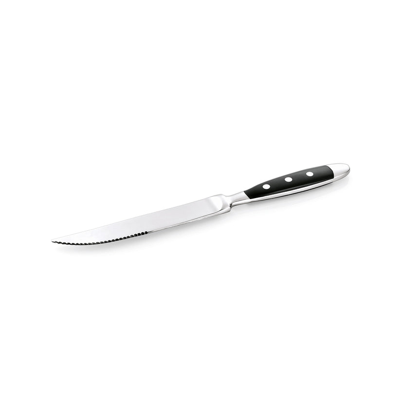 Amefa Bistro steakmes 21,5 cm rvs – scherp steakmes voor bistro en brasserie