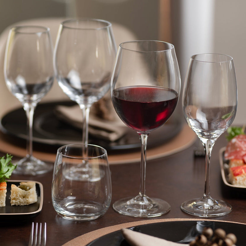 RCR Invino wijnglas – kristallen wijnglas voor rode en witte wijn in de horeca