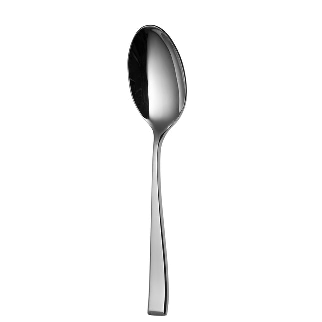 Sola Durban Vintage serveerlepel 22,8 cm set van 12 horeca opscheplepels APS Glass & Bar Supply
