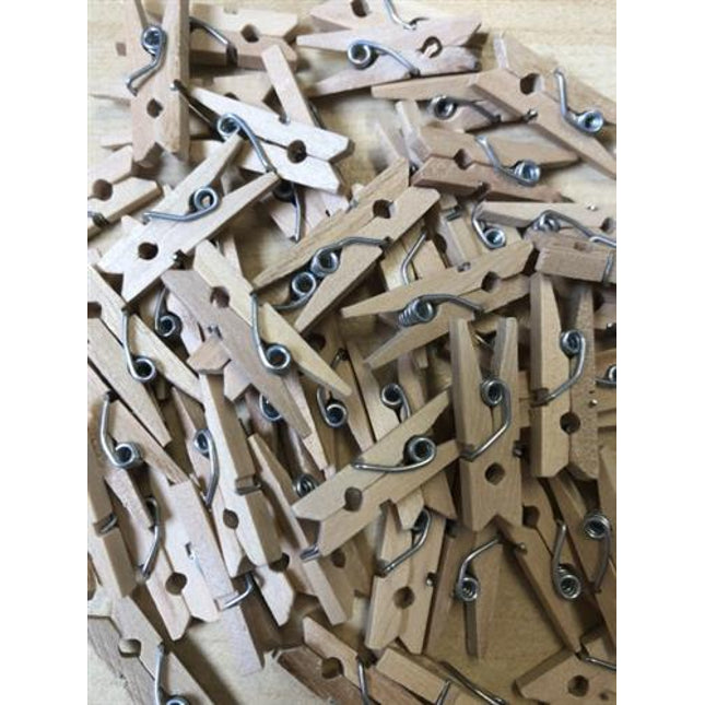 APS mini wasknijpers 100 stuks - knijpertjes voor menukaarten en garnituur